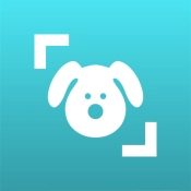 Dog Scanner:Breed Recognition